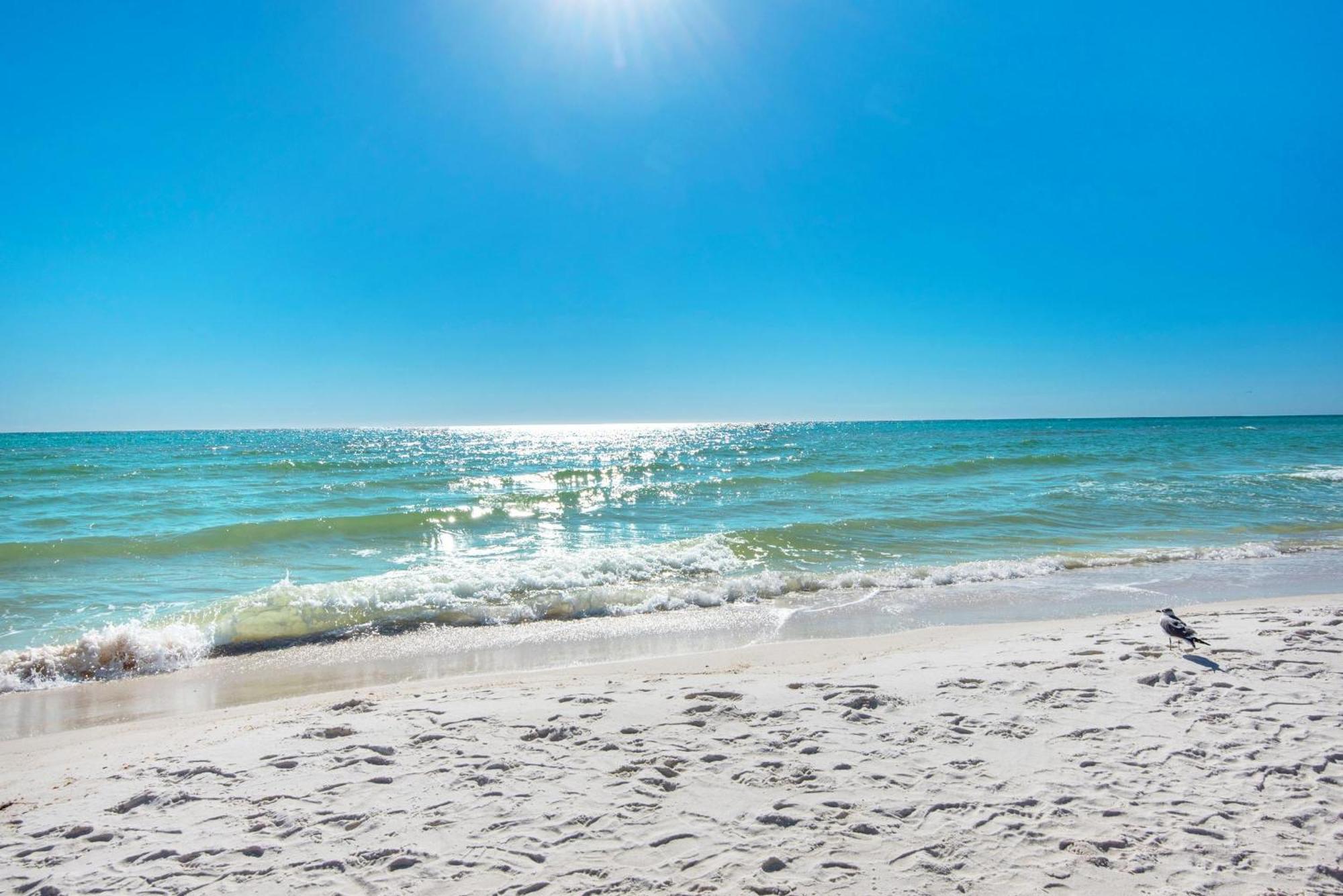 Shores Of Panama 1802 Panama City Beach Exterior foto